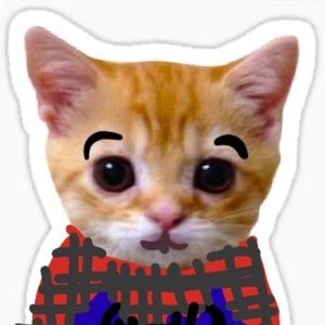 Meet your Posher, Zoey